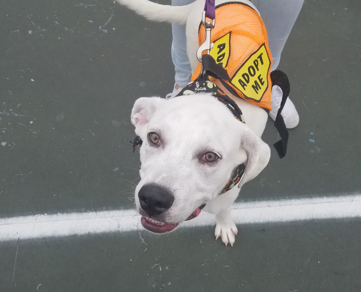 Credits: Hannah Amadio/Multimedia Storytelling