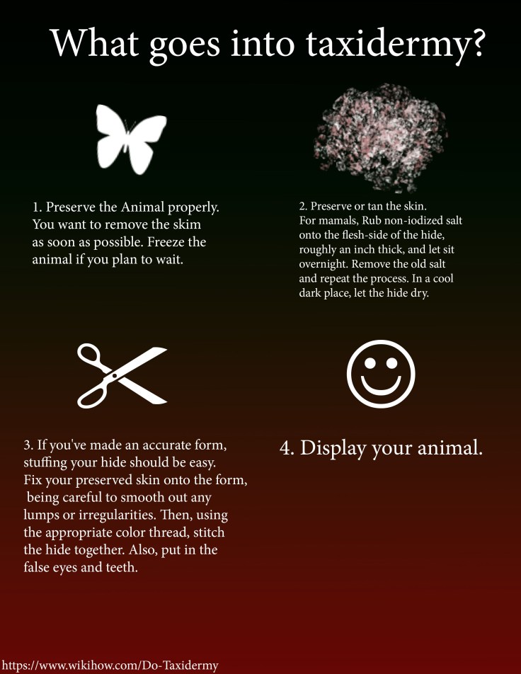 taxidermy inforgraphic